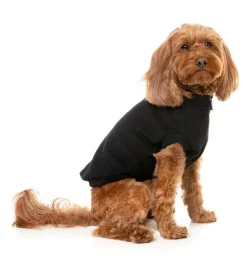 Cambridge Sweater - Black