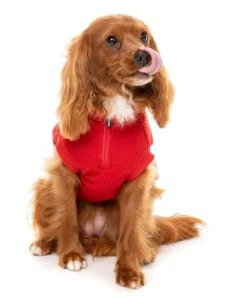 Cambridge Sweater - Red