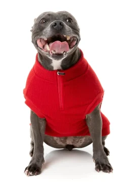 Cambridge Sweater - Red