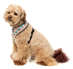 Carioca - Dog Harness