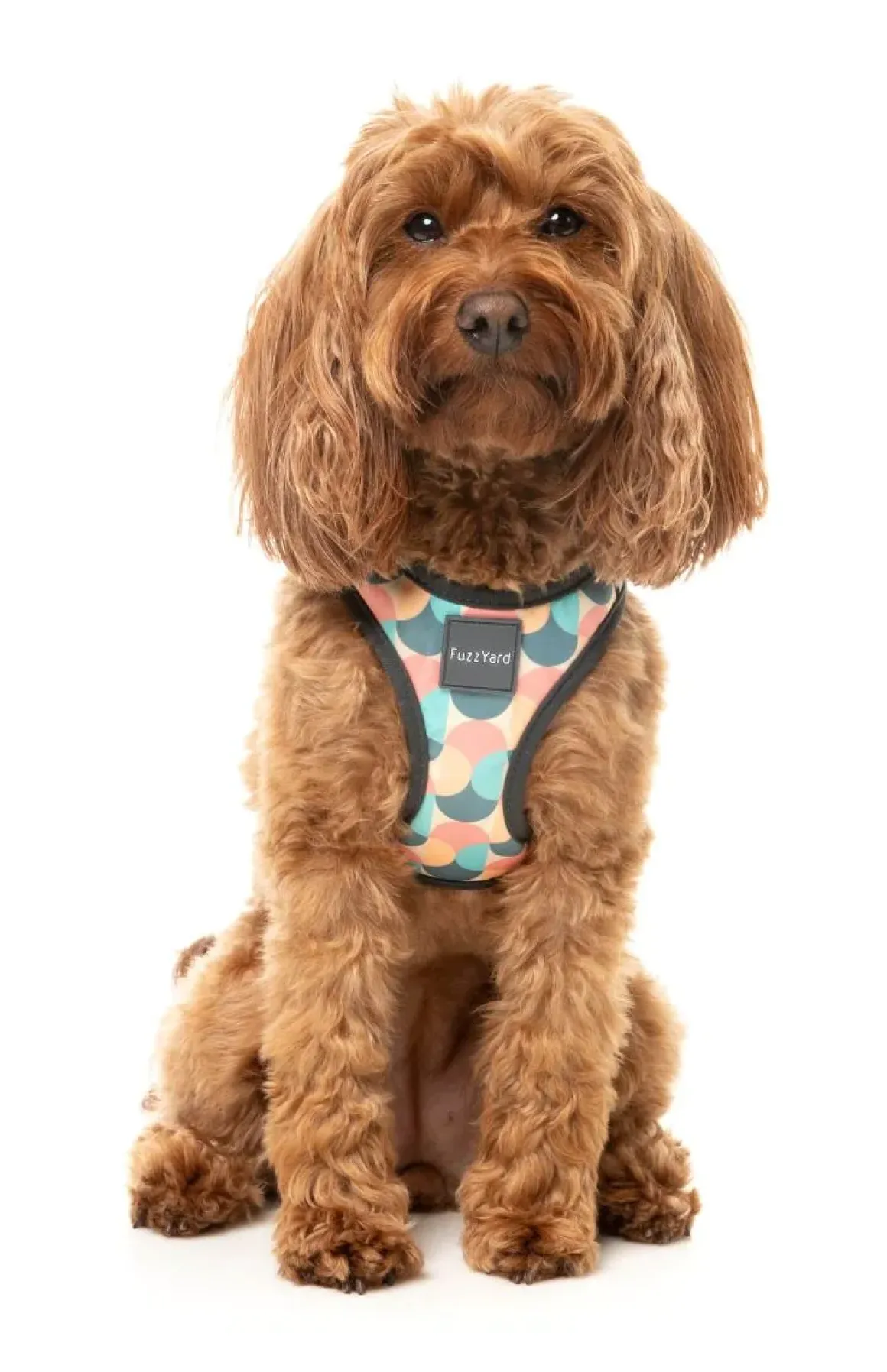 Carioca - Dog Step In Harness
