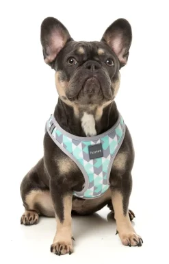 Carioca - Dog Step In Harness