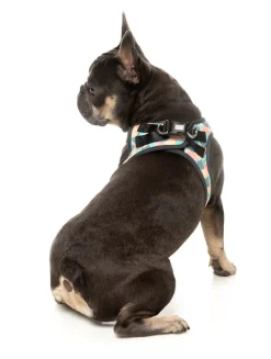 Carioca - Dog Step In Harness