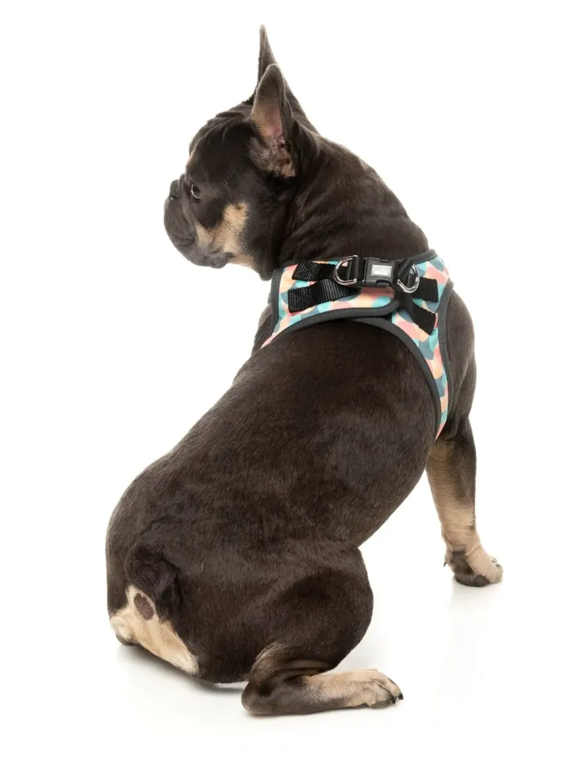 Carioca - Dog Step In Harness