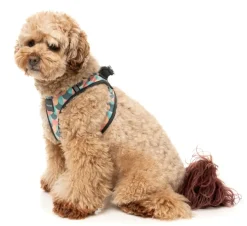 Carioca - Dog Step In Harness
