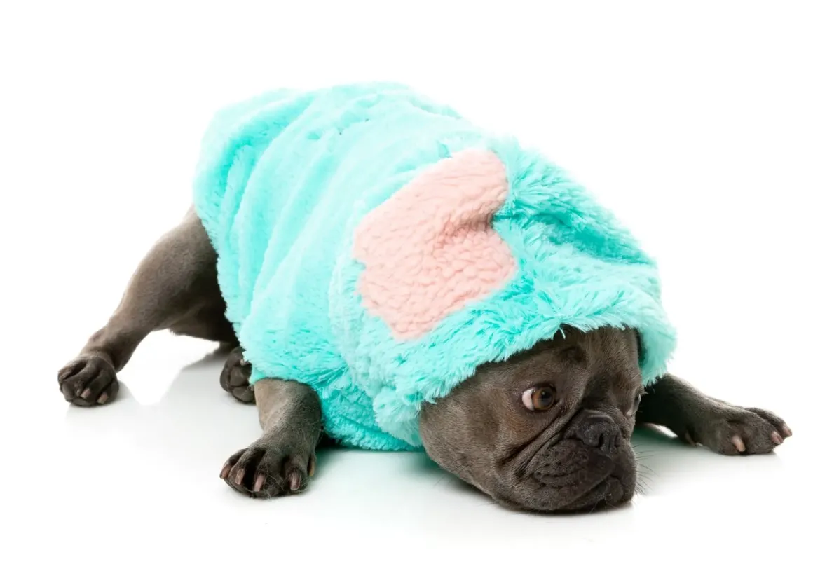 Cerebella The Zombie - Fluffy Hoodie Costume