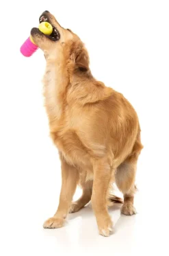 Chill Pill - Interactive Chew Toy