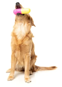 Chill Pill - Interactive Chew Toy