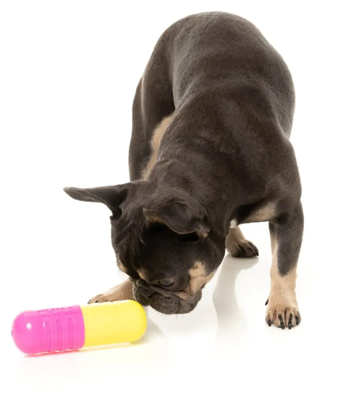 Chill Pill - Interactive Chew Toy