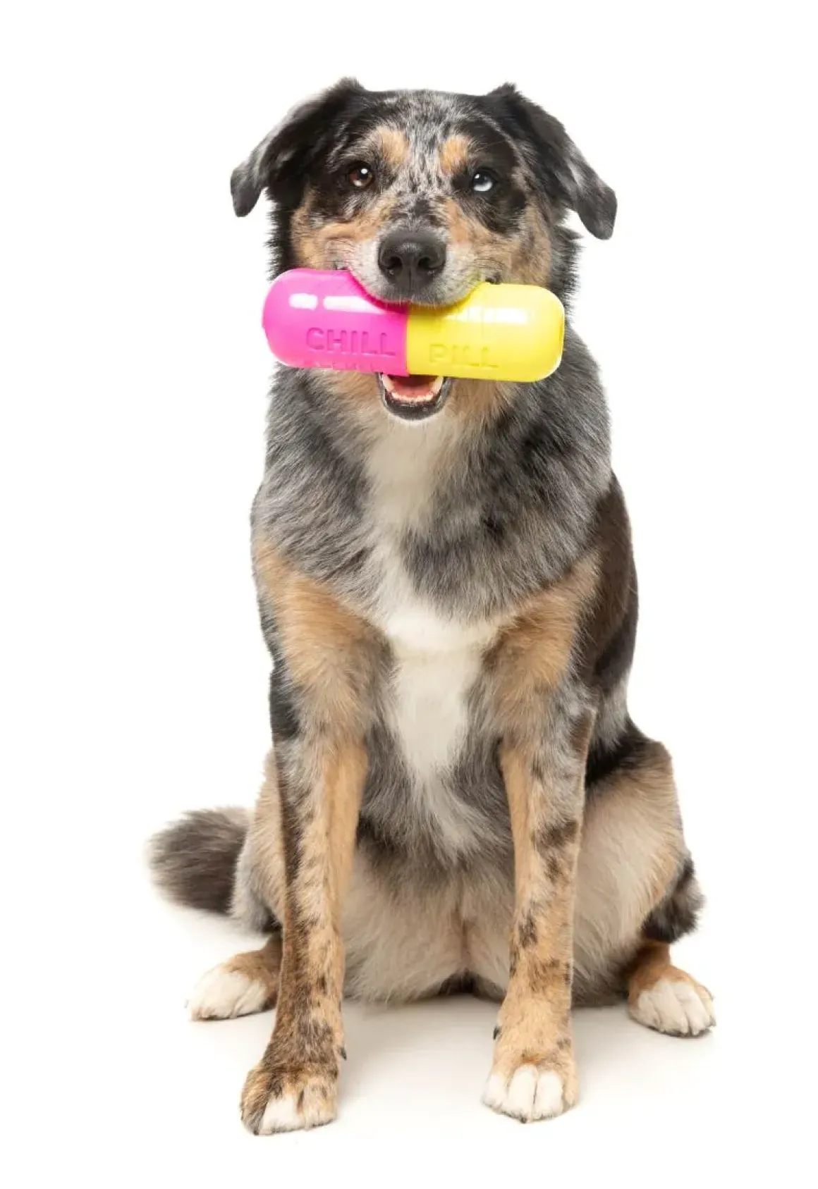 Chill Pill - Interactive Chew Toy