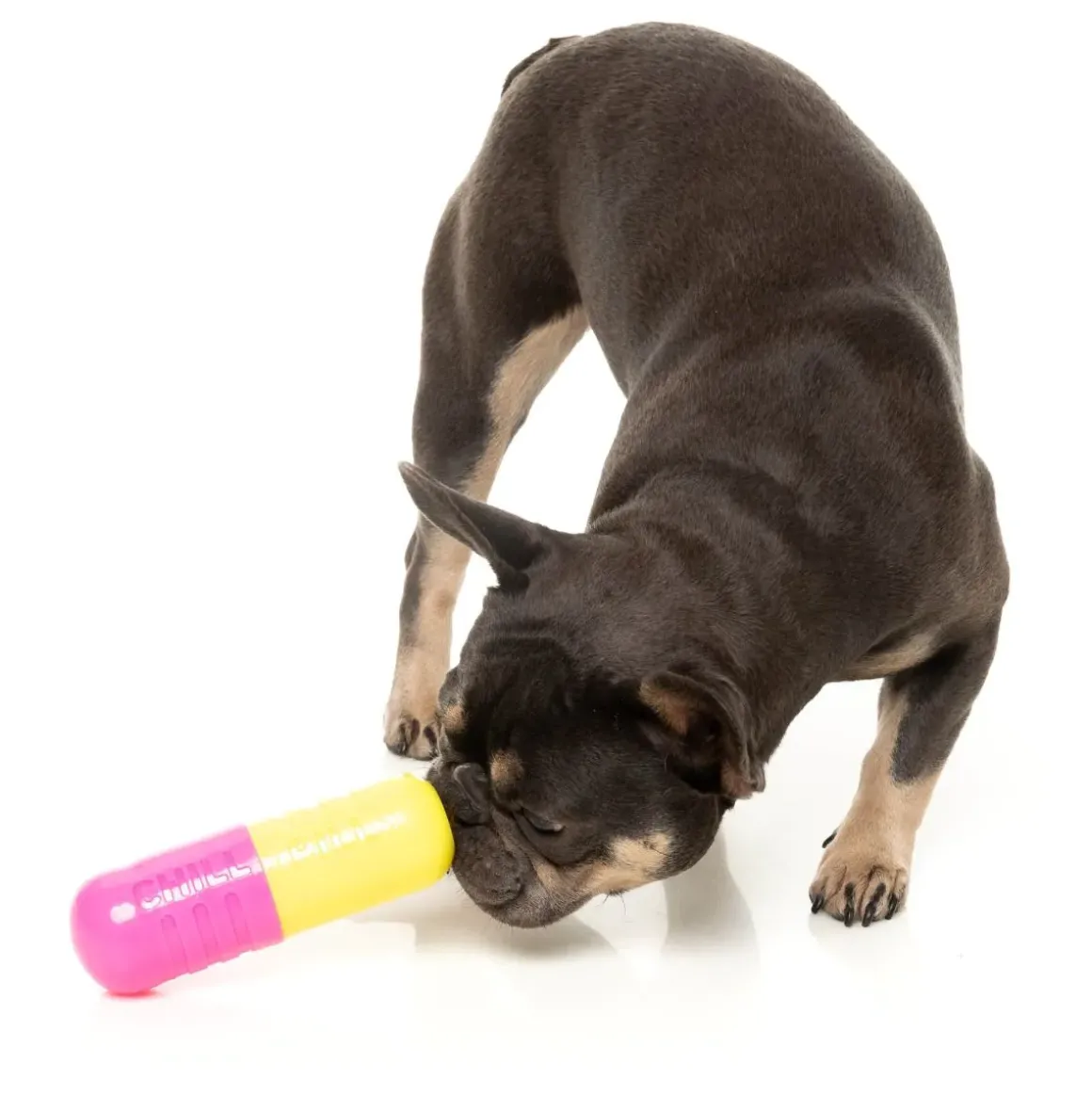 Chill Pill - Interactive Chew Toy
