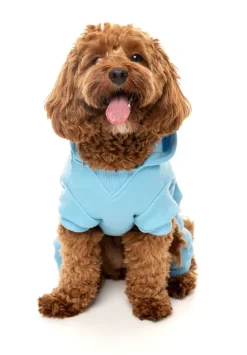 Chillin' Tracksuit - Blue