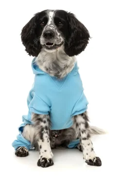 Chillin' Tracksuit - Blue