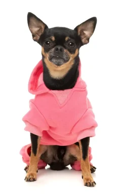 Chillin' Tracksuit - Pink