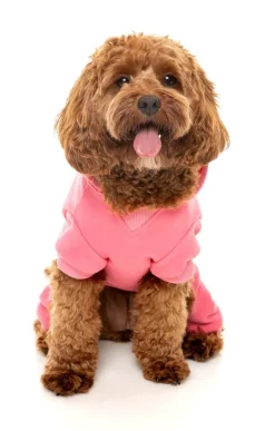 Chillin' Tracksuit - Pink