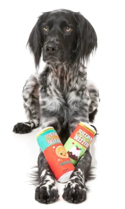 Christmas Seltzers 2PK - Dog Toy