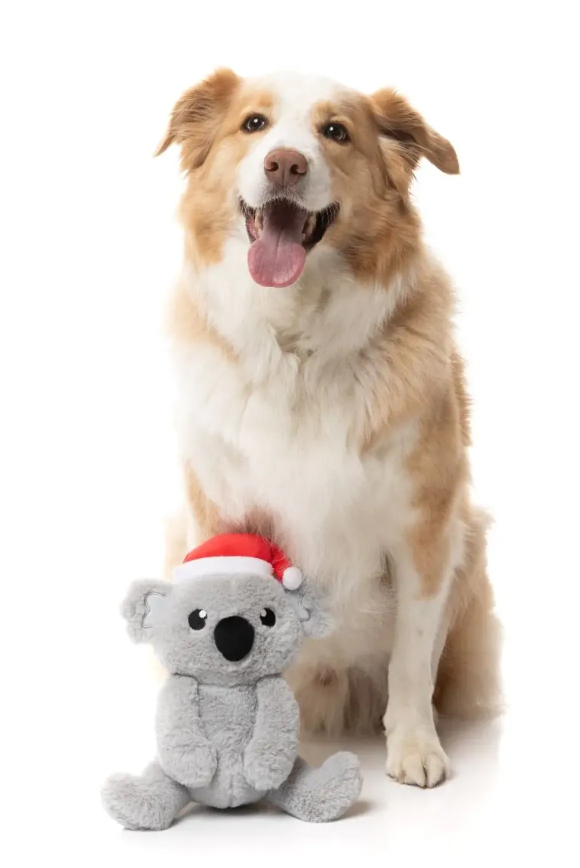 Coco Koala - Dog Toy