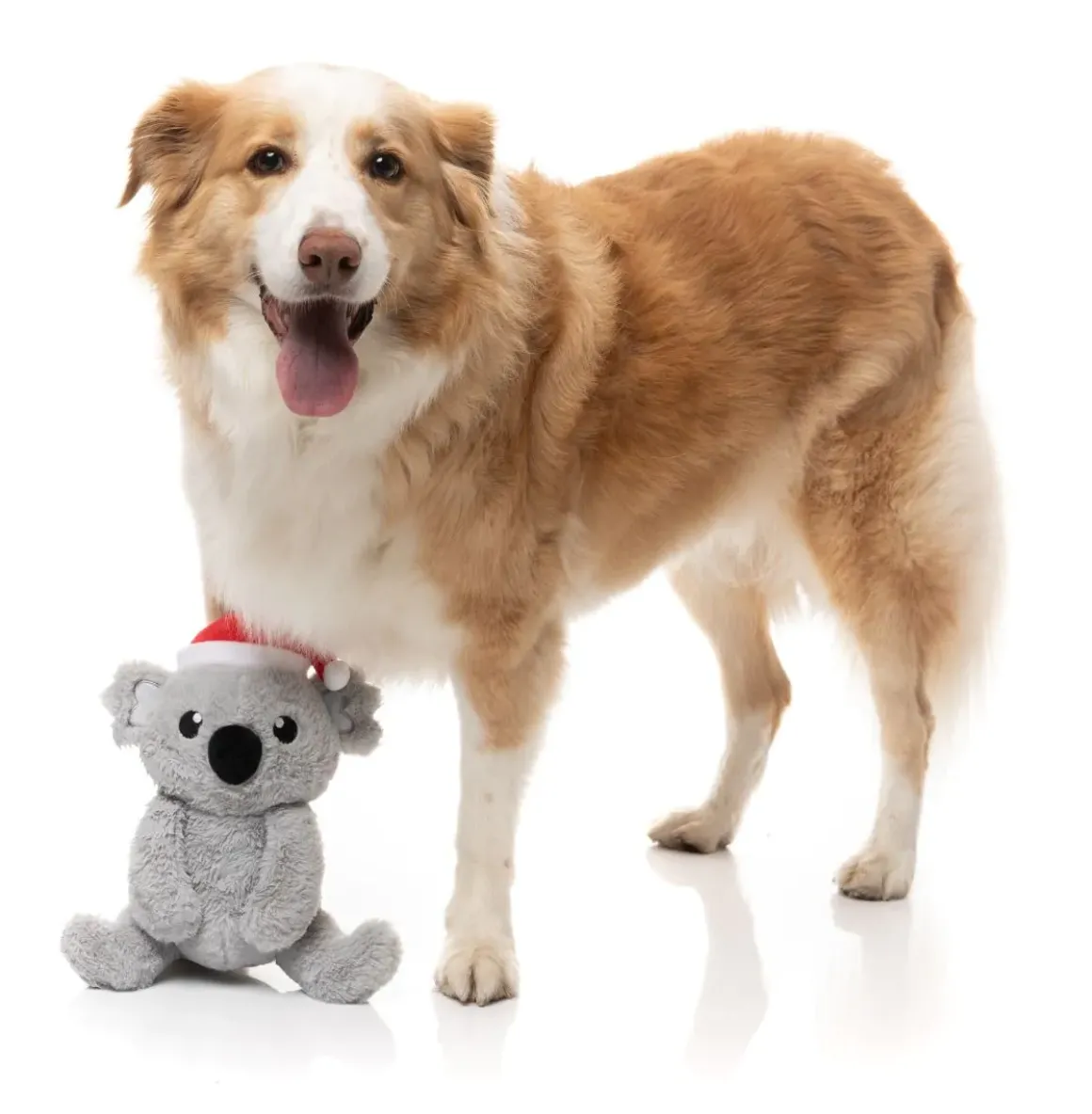 Coco Koala - Dog Toy