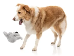 Coco Koala - Dog Toy