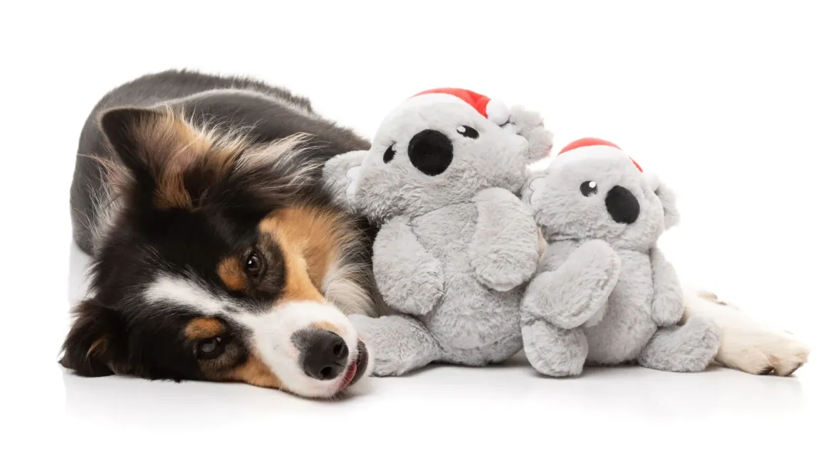 Coco Koala - Dog Toy