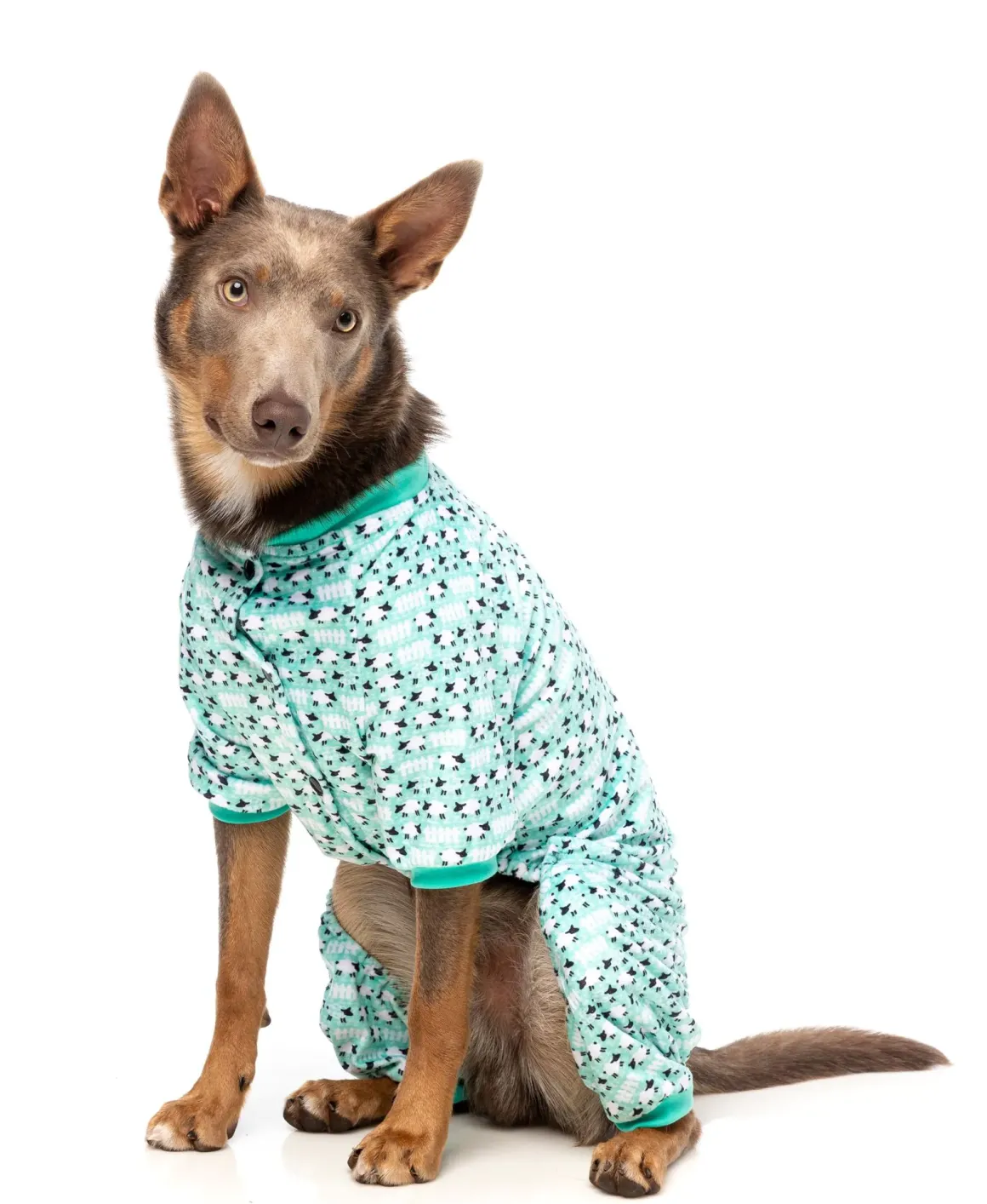 Counting Sheep Green Pajamas