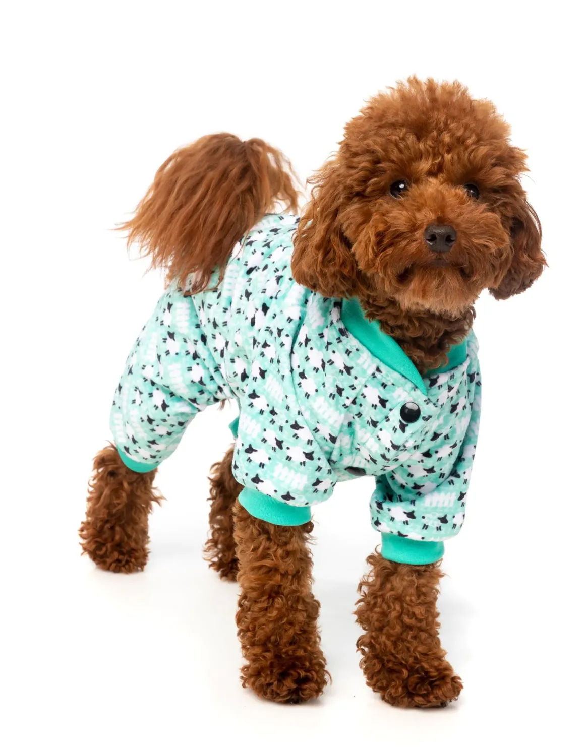 Counting Sheep Green Pajamas