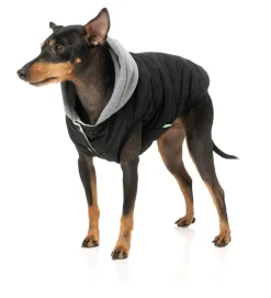 Cremorne Hoodie - Black