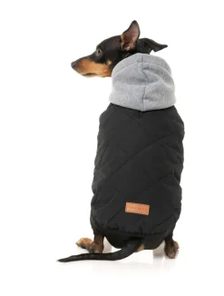 Cremorne Hoodie - Black