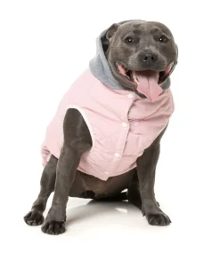 Cremorne Hoodie - Pink