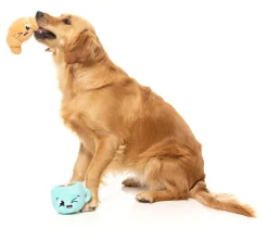 Croissant & Cappuccino 2PK - Dog Toy