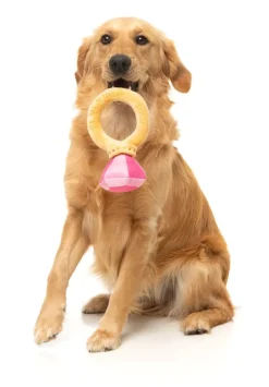 Diamond In The Ruff Ring - Dog Toy
