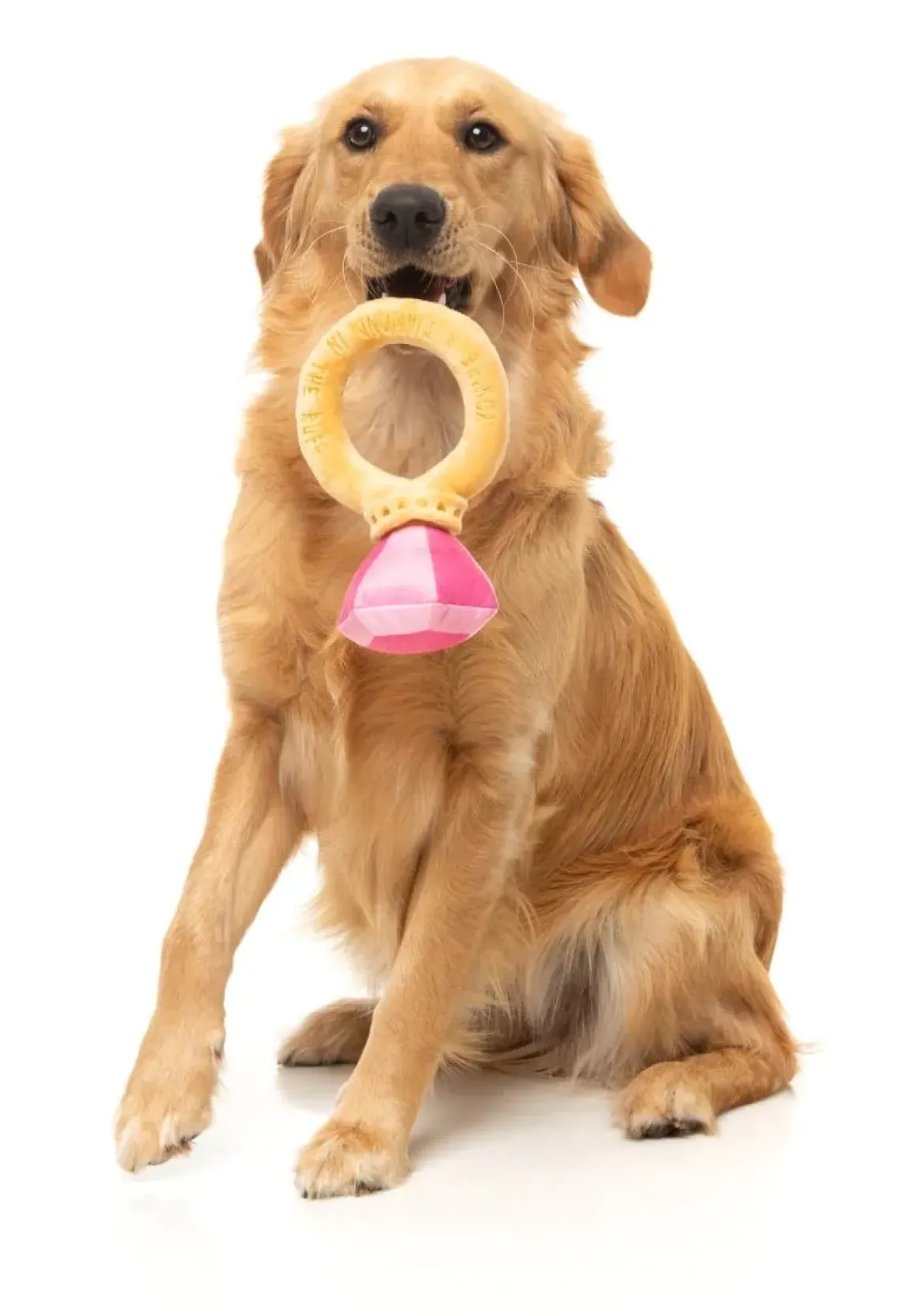 Diamond In The Ruff Ring - Dog Toy
