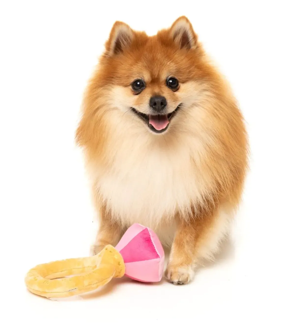 Diamond In The Ruff Ring - Dog Toy