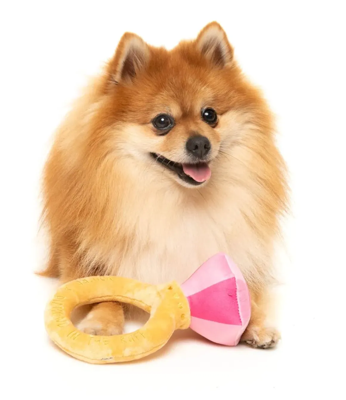 Diamond In The Ruff Ring - Dog Toy