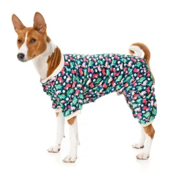 Dinosaur Land Pajamas