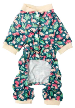 Dinosaur Land Pajamas