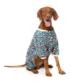 Dinosaur Land Pajamas