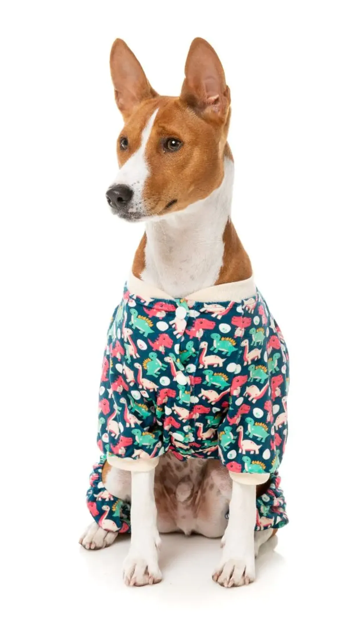 Dinosaur Land Pajamas