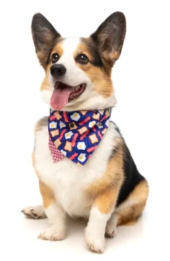 Dog Bandana - Bacon and Eggs