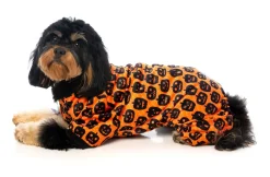Dog Pajamas - Pumpkin Patch