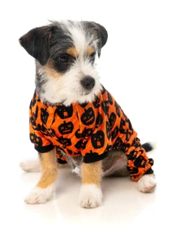 Dog Pajamas - Pumpkin Patch
