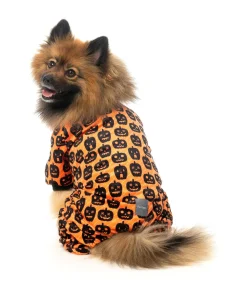 Dog Pajamas - Pumpkin Patch