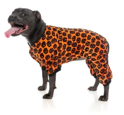 Dog Pajamas - Pumpkin Patch