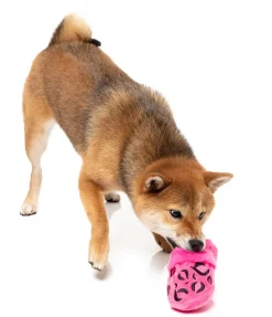 Dog Toy - Angel Slipper