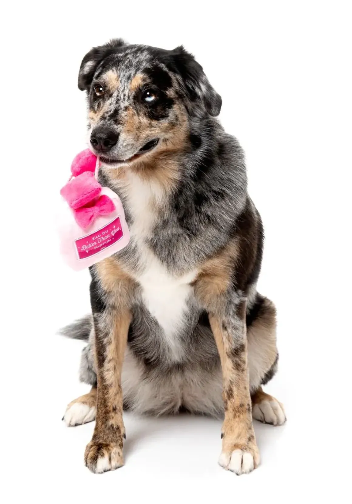 Dog Toy - Better Than You Parfum