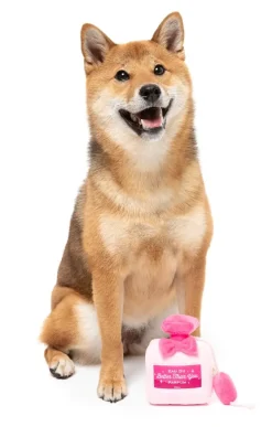 Dog Toy - Better Than You Parfum