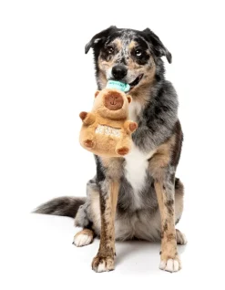 Dog Toy - Capy-ccino