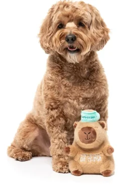 Dog Toy - Capy-ccino
