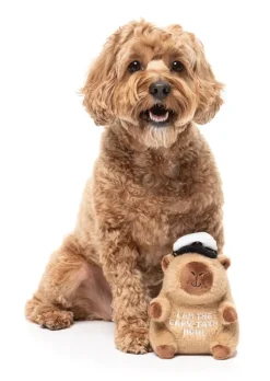 Dog Toy - Capy-tain