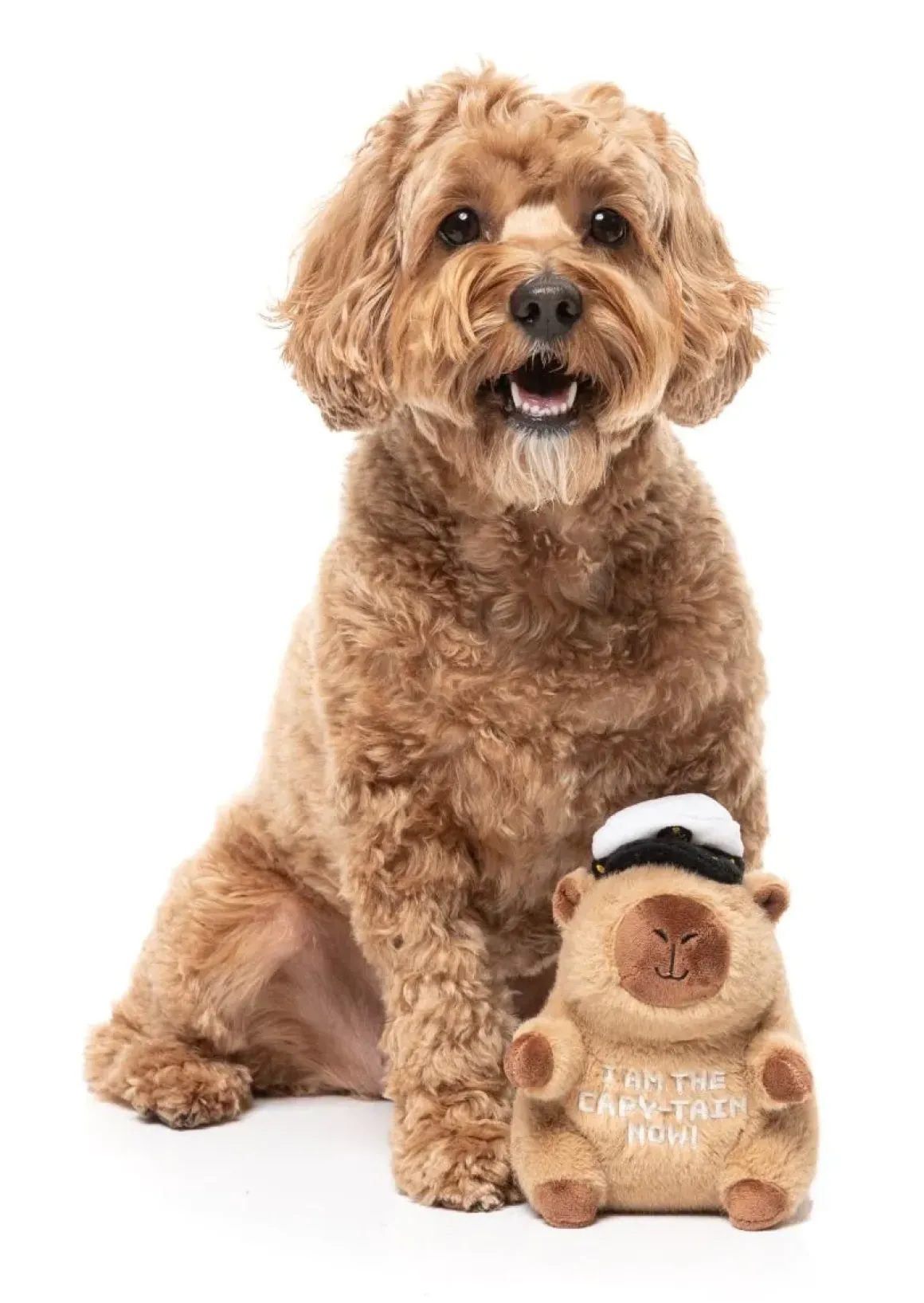 Dog Toy - Capy-tain